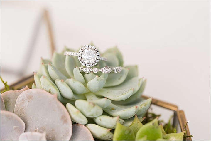 engagement ring wedding band on succulent Greenville SC wedding photographers