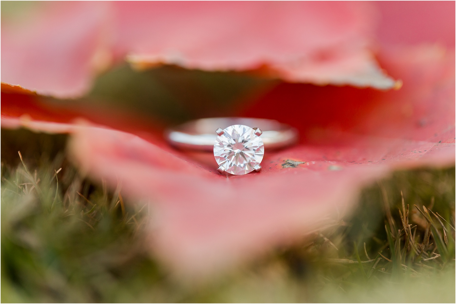 fall engagement ring inspiration
